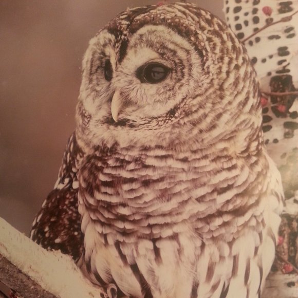 Meet your Posher, Shannon - Picture 1 of 2